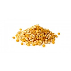 Popcorn - suszone ziarno kukurydzy 0,5 kg